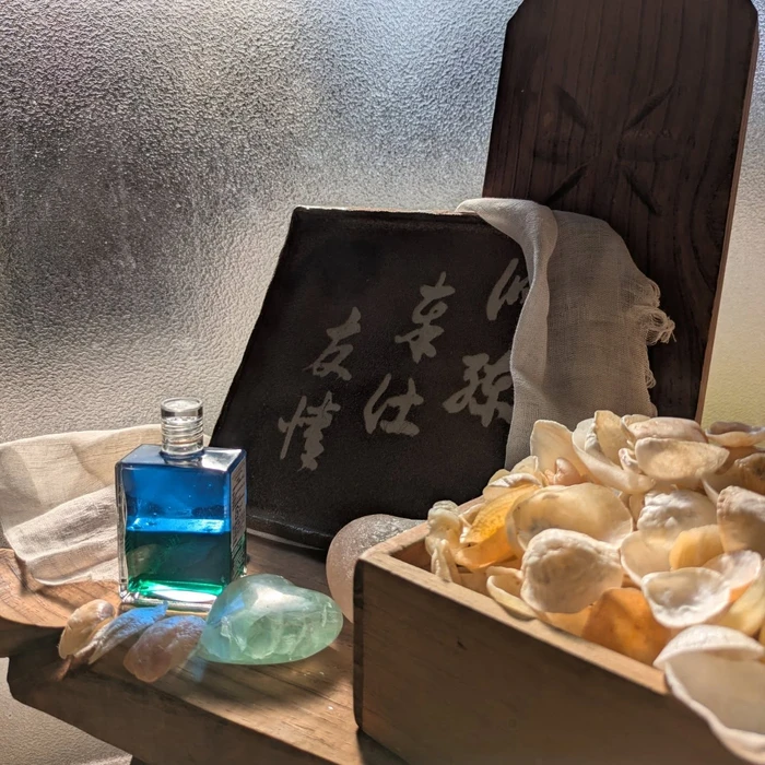 画像248